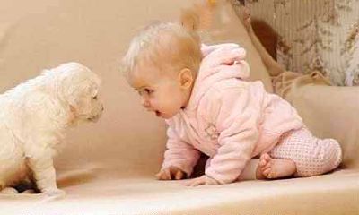 宝宝取名字大全2019年属猪 新生宝宝好听名字