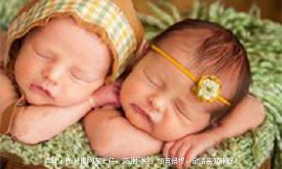 好听的猪宝宝起名姓张的