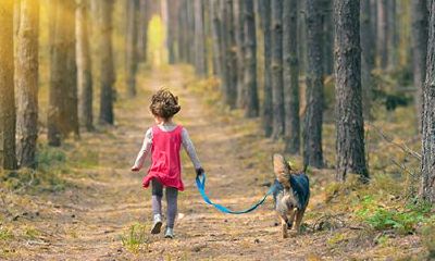 2020年2月出生的鼠宝宝起名