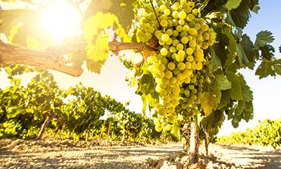 男宝宝取什么乳名好听