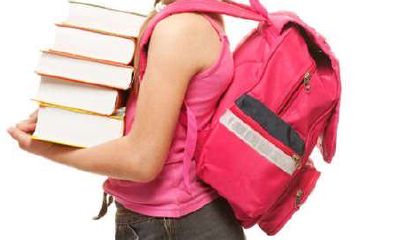 属狗的生狗宝宝好不好