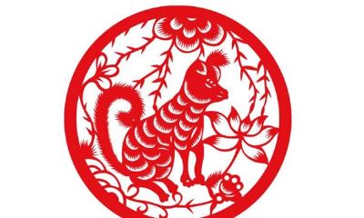 生肖解密：属狗的今年多大？