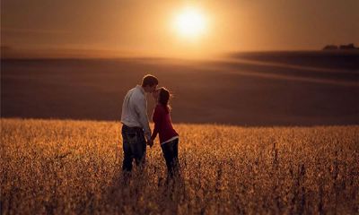 属狗人的最佳配偶