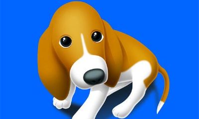 属狗的年份解析