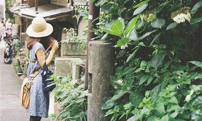 2017年7月生肖狗运势