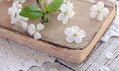 什么样的名字对婚姻有利