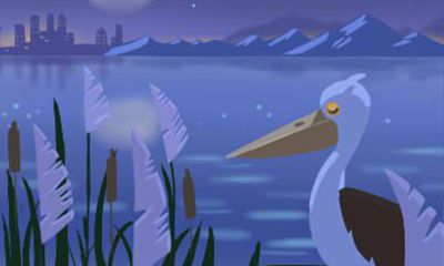 凡事都懂得适可而止的生肖排行