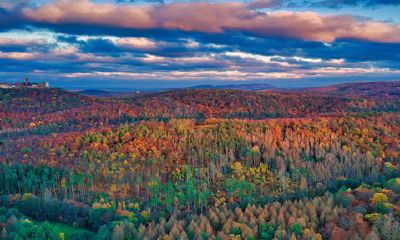 正月初十出生的男孩人命好吗2023年