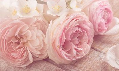 如何判断名字的好坏?