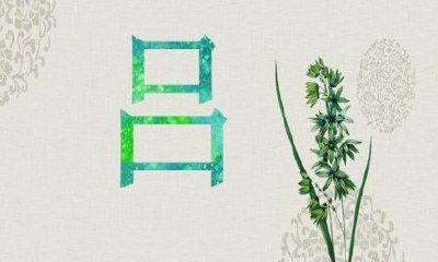 吕姓男孩取名大全2019属猪