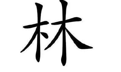 2020年属鼠的林姓女宝宝起名大全