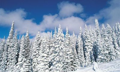 2022年冬天的黄道吉日，冬天黄道吉日的阳历时间