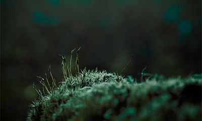 2022年夏季的黄道吉日，农历四月到六月的黄道吉日一览