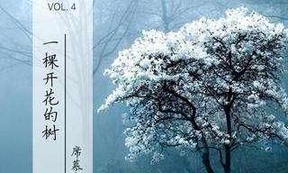 前世五百次的回眸一笑（几世的轮回换来今生的相遇）