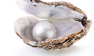 测试你前世的相貌（测前世是什么人）