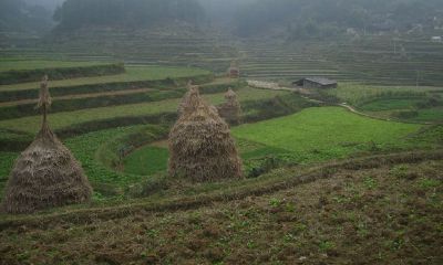 风水宝地惊现墓葬（如何看坟墓风水宝地）