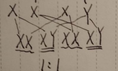 属龙的今年生女孩还是男孩（属龙生男生女清宫表）