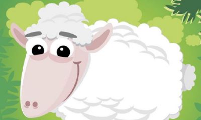 十二生肖排序79年属什么（请问79年的属相是什么）