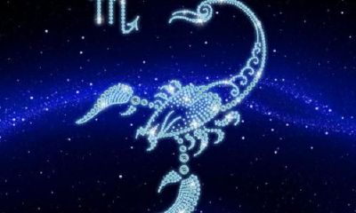 处女座到底聪不聪明（金牛座聪明不聪明）