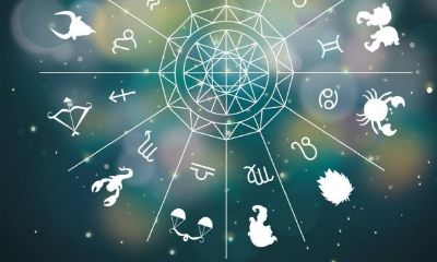 星座如何划分标准（星座详细划分）