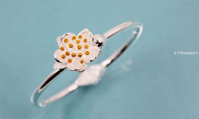 63年属兔人戴银手镯可以吗（属兔的能不能戴玉手镯）