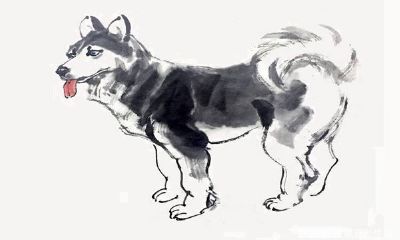 属狗人最旺感情的颜色是什么色（今年属狗的什么颜色比较旺）