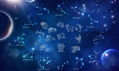 12星座怎么查询呢（12星座性格特点）