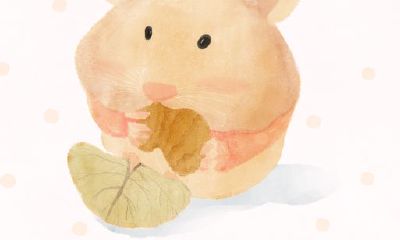 1972年属鼠男婚外情的感情（1972年属鼠人寿命）