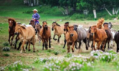 90年属马一生三大劫2023（66属马一生大劫年）