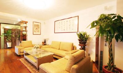 客厅财位摆发财树（客厅财位应该摆放什么）