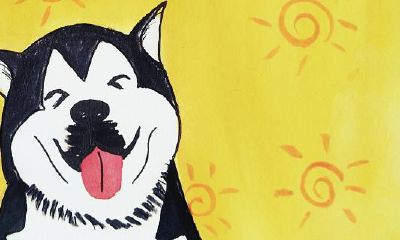 属狗的2023年工作运势如何（二零二零年属狗人运势）