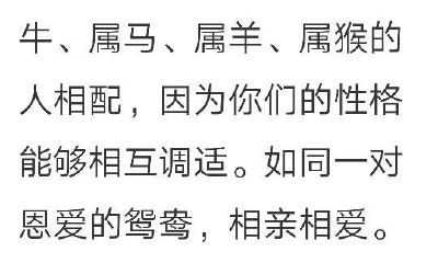属蛇女最佳婚配排名（93年属鸡男最佳婚配属相）