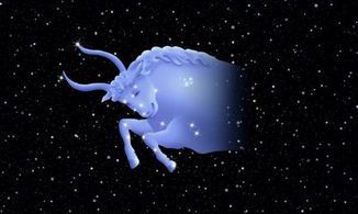 哪个星座男结婚才最辛福（十二星座男最终会娶谁）
