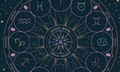 摩羯座最适合什么星座的人（摩羯座的性格）