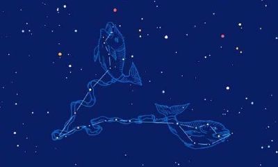 星座到底是看农历还是看公历（怎么区分农历和阳历）