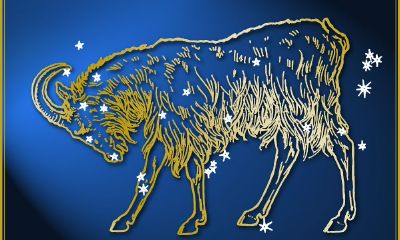 摩羯座喜欢一个人的行为是高冷吗（射手座喜欢一个人的表现）