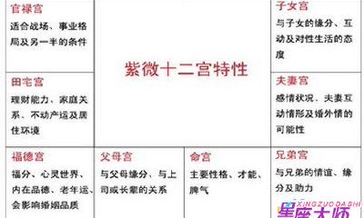 紫微斗数宫位星宿排列（紫微斗数身宫）