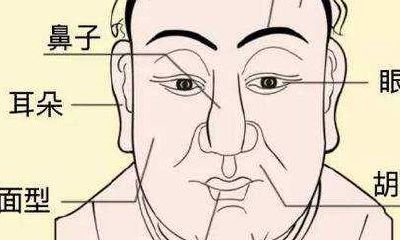 五官分散的人面相（人的额头面相分析）