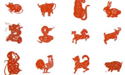 2023年12生肖排行榜12生肖排行（十二生肖的排行榜）