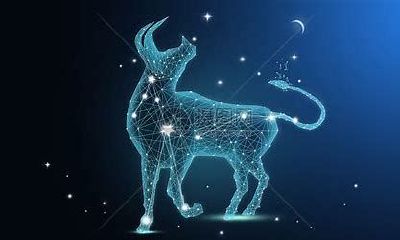 星座金牛座啥性格（金牛座的星座属性）