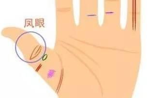 女人手相看财运怎么看（女人有财运的手相）