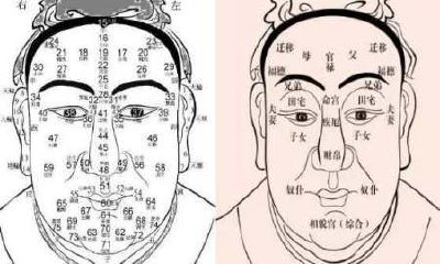 颧骨分张面相（颧骨一高一低面相）