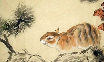 25岁是属什么属相的（属兔的和什么属相不合）