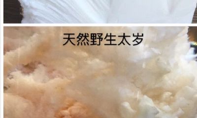 白色的太岁是什么样子的（太岁的颜色及形状）