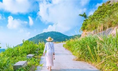 桃花运要来到了（行桃花运是什么意思）