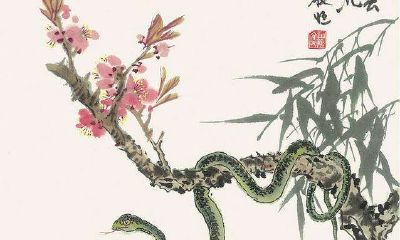 十二生肖智商最高排行（智商最高的4大生肖）