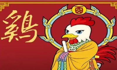 属鸡明天财运指数（属鸡的今天运势和财运如何）