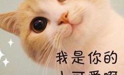 天秤座和白羊座情侣值（白羊座和天秤座的匹配度）