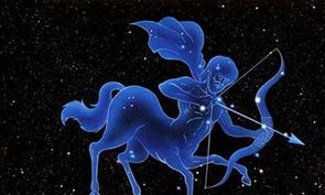 射手座的第2个星座是什么（能让射手座收心的星座）