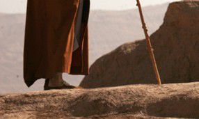 十一月出生的本命佛是什么（鼠的本命佛是什么佛）